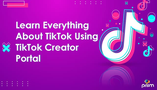 TikTok Creator Portal A Hub of Educational Content for Users