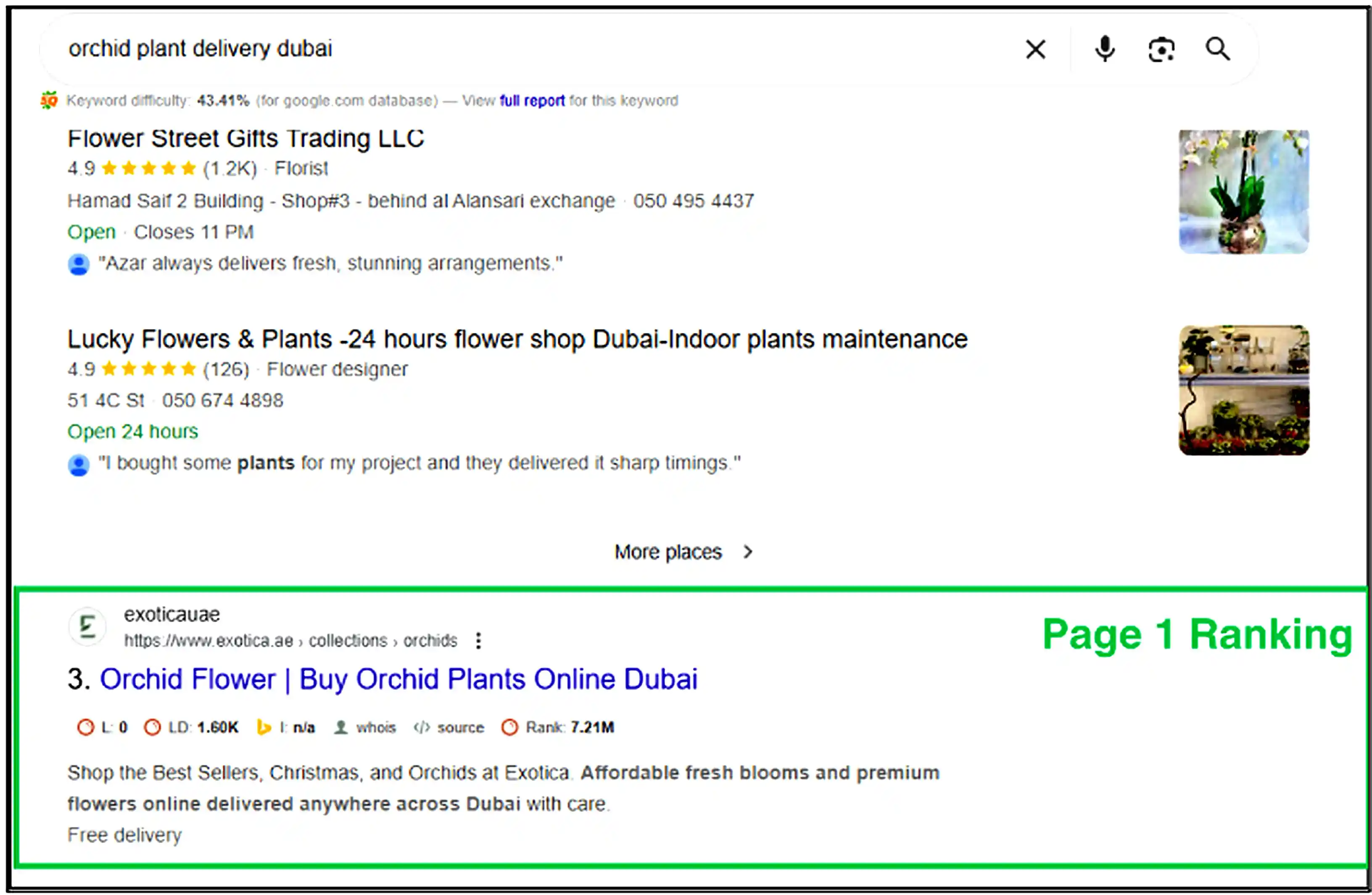 Orchid plant delivery Dubai keyword ranking showing Exotica UAE on page 1 Google results