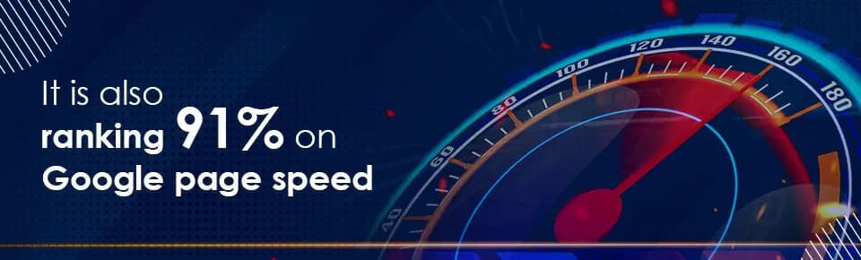 Google PageSpeed score of 91% for Rozella Real Estate responsive website