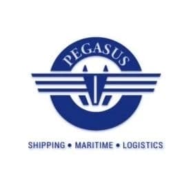 Pegasus Shipping Maritime Logistics logo – Prism Digital client