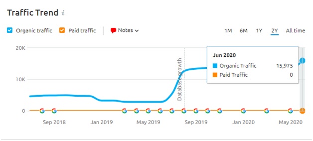 Traffic Insight June Core update 2020 -2xl