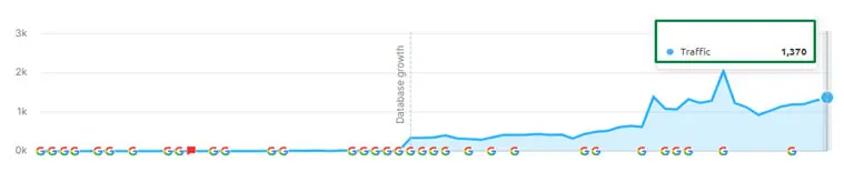 Organic Search Traffic