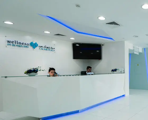 Wellness Client Brief