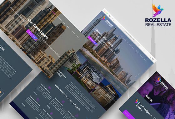 Our Development Solutions